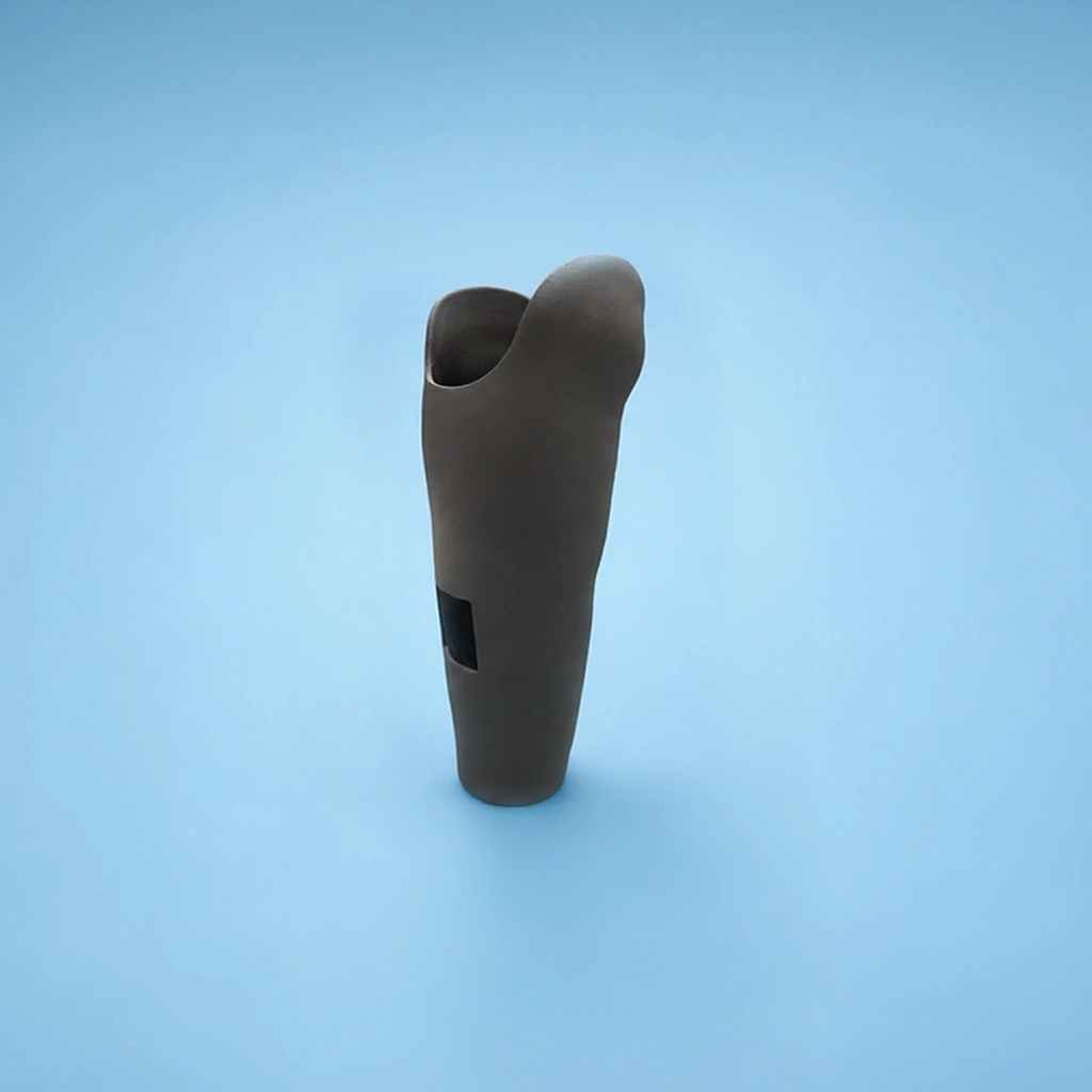 Prosthetic Components